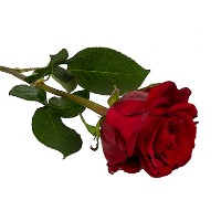 Hilbert Kristian Nordeng