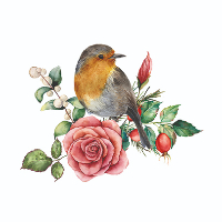 Ingebjørg Kristine Cedolfsen